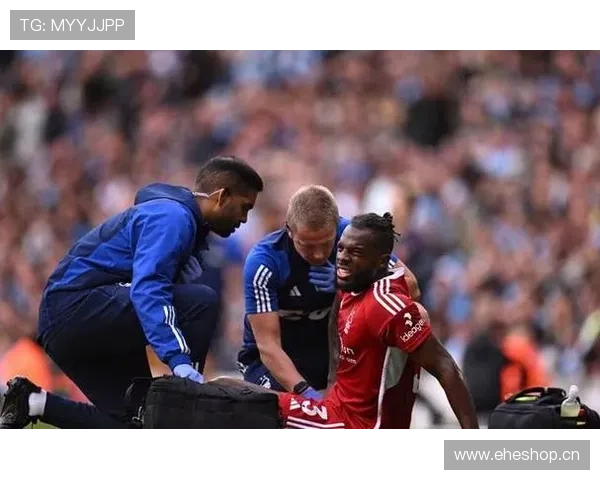 罗德里中场统治力与观赏性的结构性差异解析