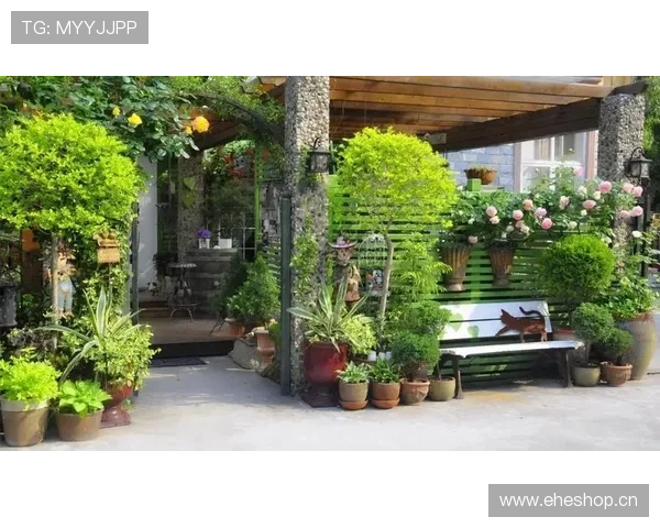 杜丽退役后家里靶场当后花园，邻居以为天天在拍枪战片